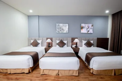 Muong Thanh Sapa Hotel – 照片 2